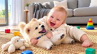 Information Baby & Fluffy Puppy Roll Together… Then the Giggles Explode! News