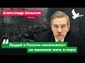 «Общество имеет право и должно знать правду о войне с Украиной» – депутат Александр Шишлов