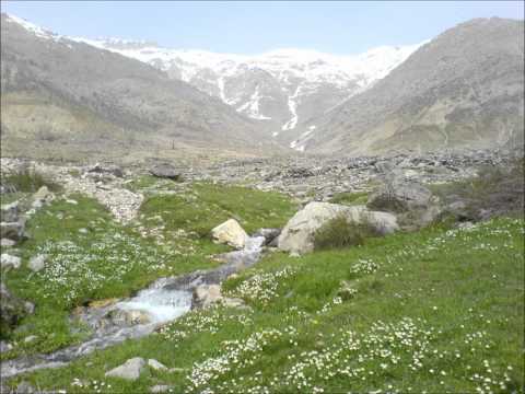 DENGE AŞUT.wmv