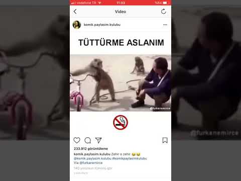 Tütürme aslanım zehir o zehir