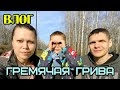 VLOG Гремячая грива &quot;Спортивный маршрут&quot;! Купили кроссовки! Вкусный ужин! 21.04.2020