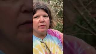 Camellia Tour NanciBeth Shealy garden