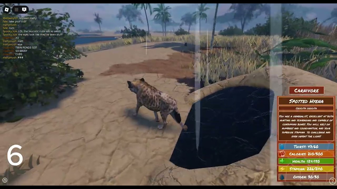 Eternal Enemies ( Lion cub stealing compilation )