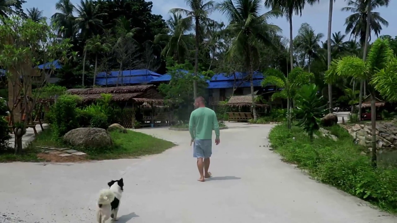 Wonderland Healing Center Koh Phangan Detox programs