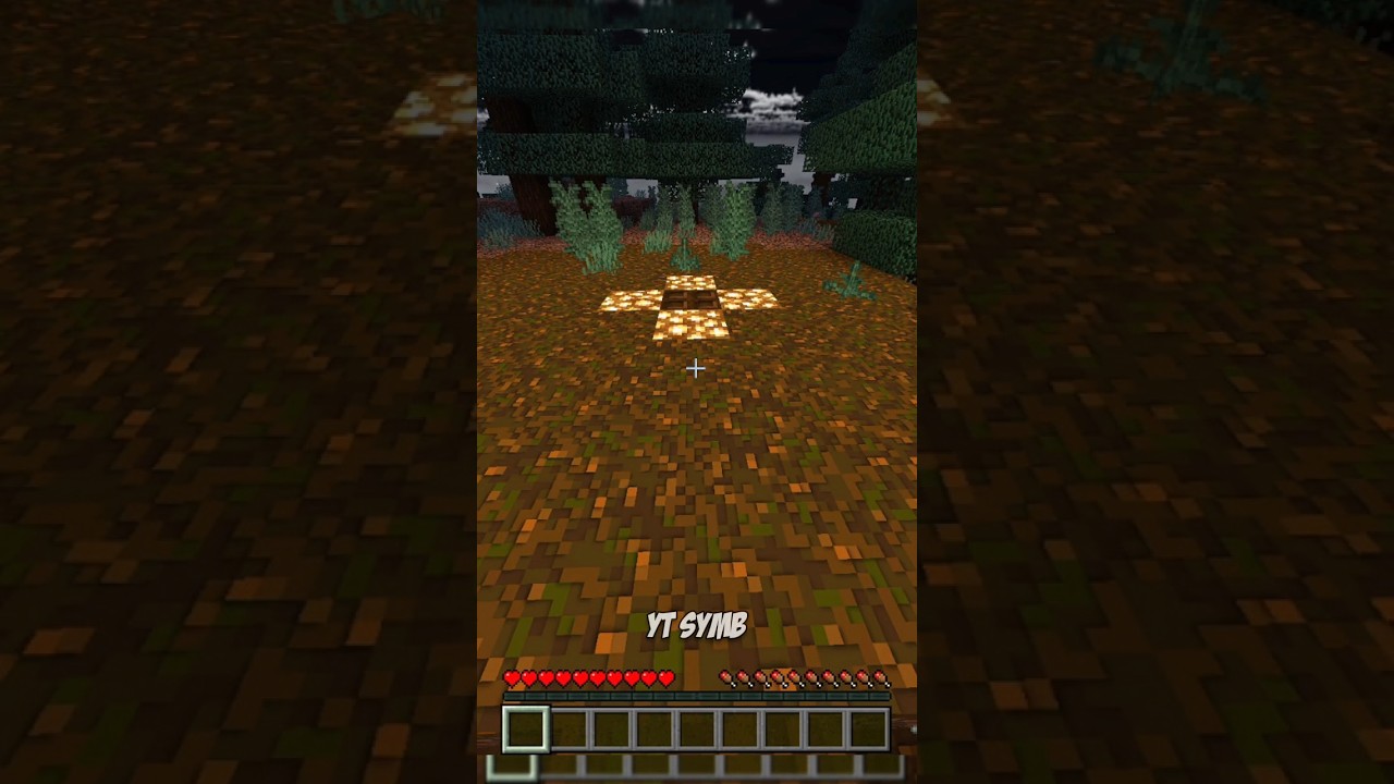 Minecraft : What a DARK FOREST 😵 