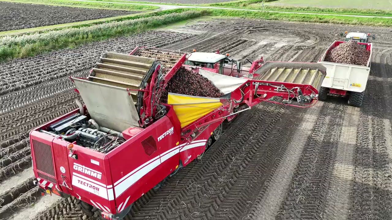 Aardappelen Beregenen Rooien Inschuren