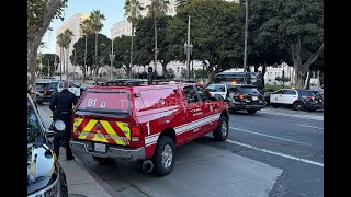LA City Hall evacuated after car crashes into building's steps