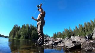 Hårkan 2018 Långan, Flugfiske, Flyfishing