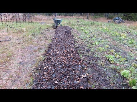 Video: Ihmisruumiien Muuntamiseksi Komposteiksi On Testattu Tekniikka - Vaihtoehtoinen Näkymä