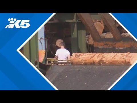 PNW logging leaders