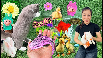 Bạn Cá cùng Hanale Bắt Các Con Vật Dễ Thương, Con Mèo Con, Con Cá, Con Thỏ, Con Cá Trê, Vịt