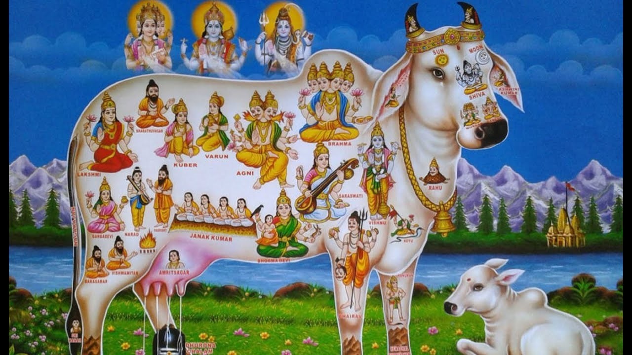 Камадхену-Лакшми ягья. 26.02.26