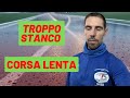Troppo VINO nuoce alla CORSA - allenamento maratona 4/1/23