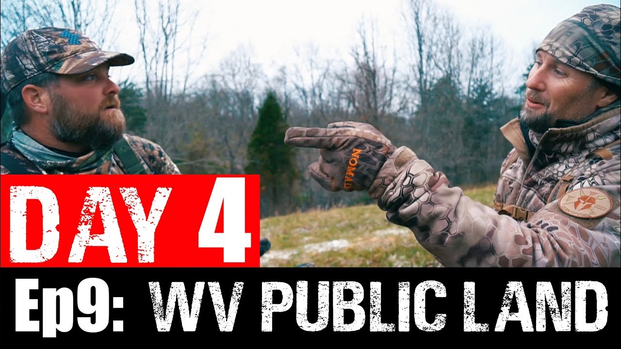 WEST VIRGINIA PUBLIC LAND TURKEY HUNTING. DAY 4. YouTube