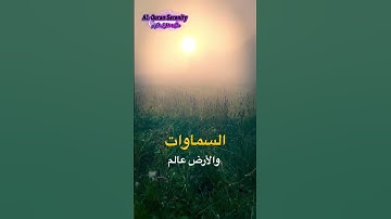 #qurankareem #peaceful #quransurah #تلاوة_خاشعة #طمأنينة_القرآن #القرآن_الكريم #متابعه_لايك