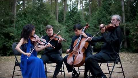 Borealis String Quartet