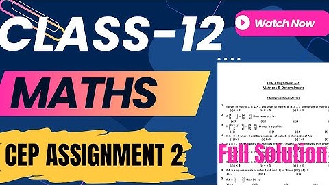 Class 12 Maths CEP Assignment 2 Full Solution | PSEB 2025 | Step-by-Step Explanation #pseb #exam
