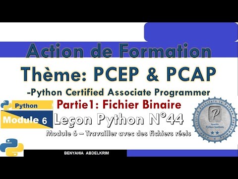 leçon python N°44  Module 6  Travailler avec des fichiers réels partie fichier binaire