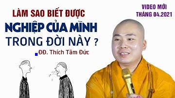 Làm sao biết được NGHIỆP CỦA MÌNH trong đời này - ĐĐ. Thích Tâm Đức (12/04/2021)