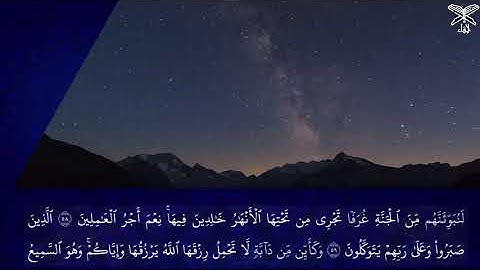 القارئ محمد بركات|ما تيسر من سورة العنكبوت