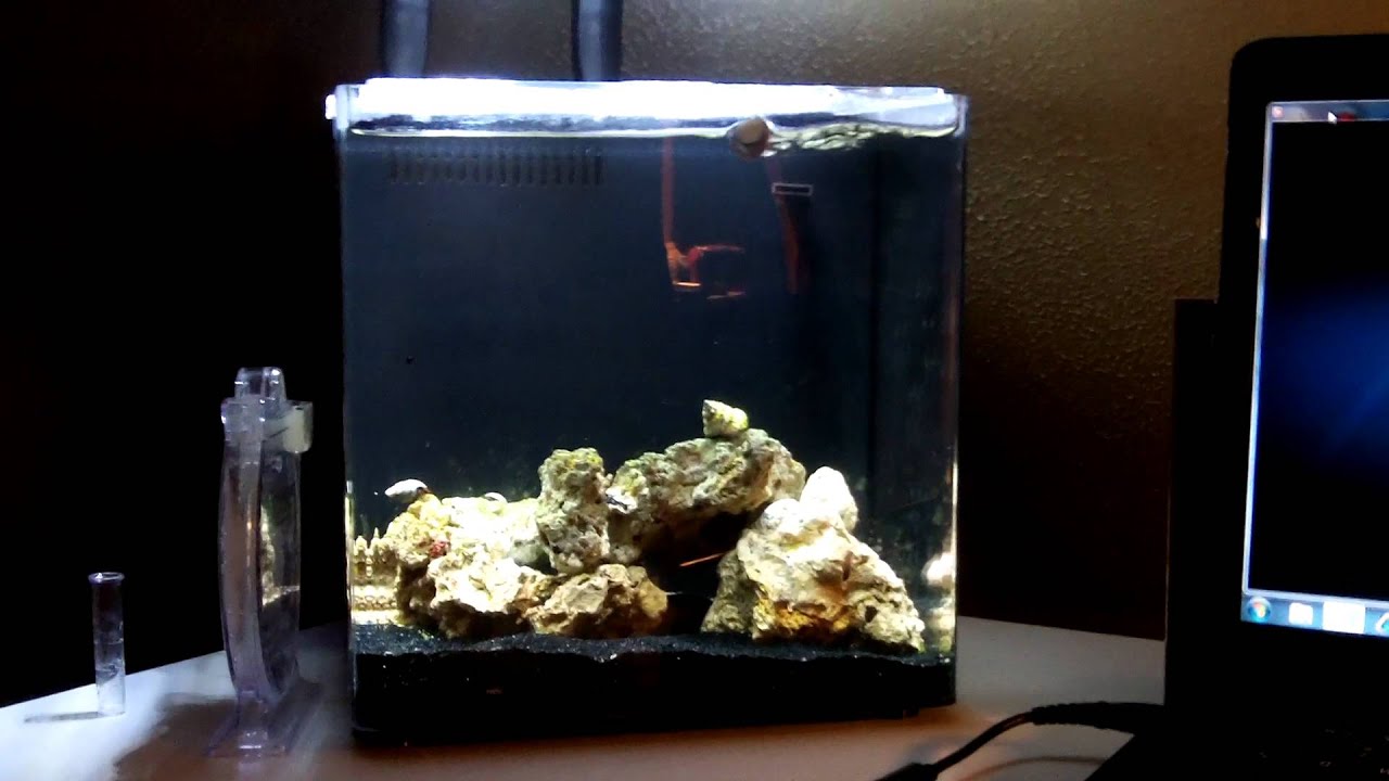 aqueon evolve 4 nano