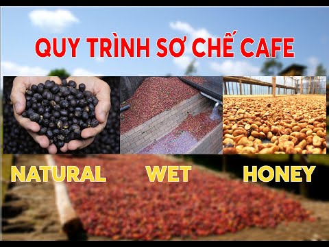 Video: Nhiệt lượng kế tách cà phê thuộc loại hệ thống nào?