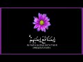 حالات واتس قران كريم بصوت جميل🌿قران حالات واتس🌿حالات واتساب قران🌿راحه نفسيه🌿تصميم 🌿
