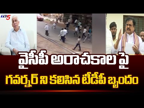 TDP Leaders Met Governor Over YCP Serial Incidents After Elections 2024 | AP Politics | TV5 News - TV5NEWS