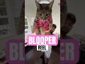 Heard y’all wanted bloopers🤪 #funny #funnyvideo #comedy #cat #catvideos #dance #dancer #shorts #fyp