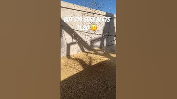 Selling Organic Soybeans #organic  #organicfarming