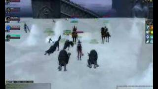 silkroad wolfs