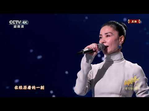王菲4k 你我经历的一刻 2026央视春晚#王菲 