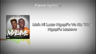 Elvirgo, TallexQ & Chicco - Malume 2.0 (Ft. Makhadzi, Kabza De Small & Mordecai) [Visualizer Lyrics]