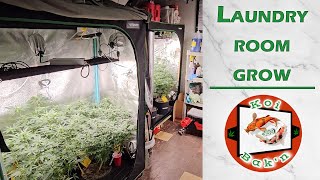 Laundry Room Grow | Season 6 Ep 2 | Spider Farmer