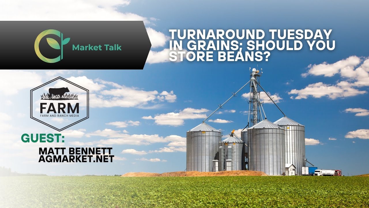 Turnaround Tuesday in Grains; Should You Store Beans? Turnaround Tuesday in Grains; Should You Store Beans?