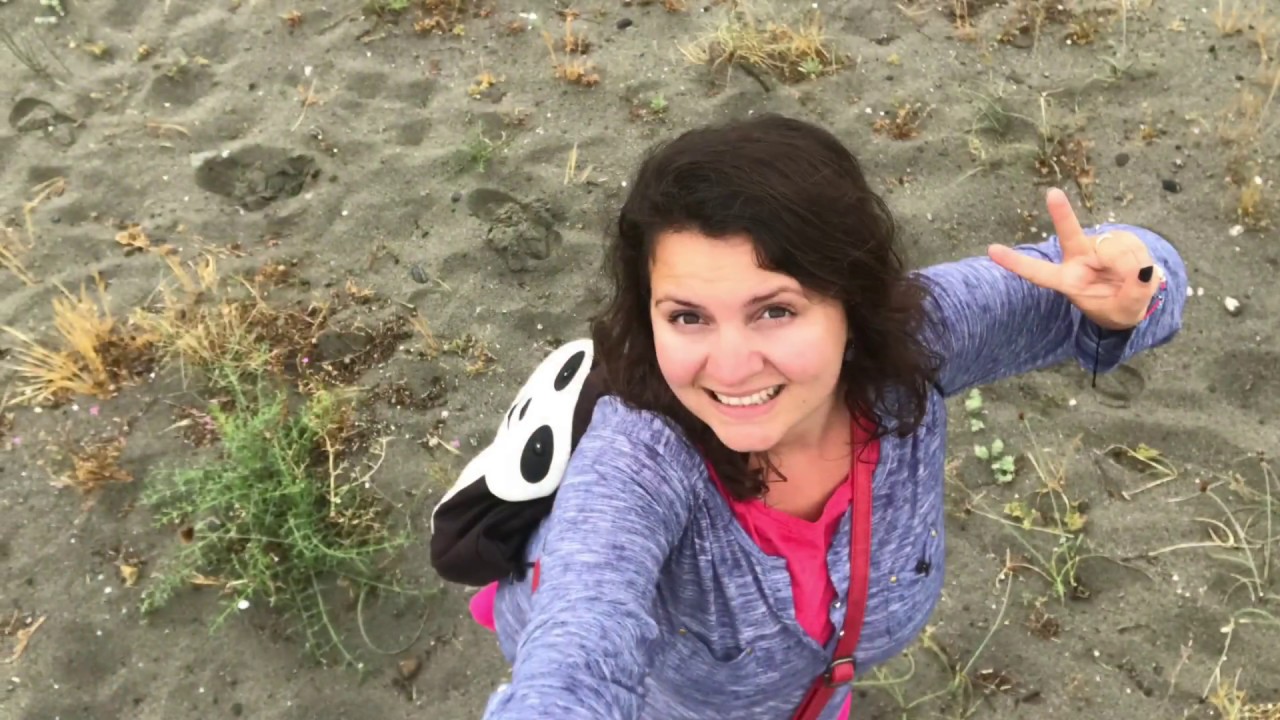 A visit at Oasi WWF Policoro - sea turtles and orienteering