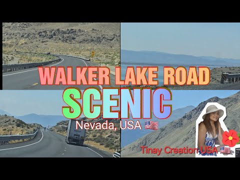 ENJOY THE MOUNTAINVIEW OF WALKER LAKE ROAD TRIP #escape #tinaycreationusa