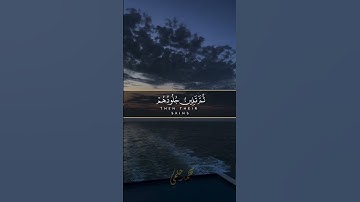 الزمر القارئ ماهر المعيقلي