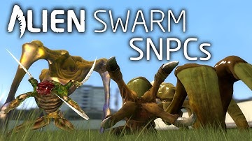 Alien Swarm SNPCs Showcase | Garry