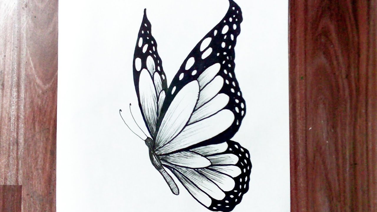 Premium Vector | Black butterfly design hand drawn