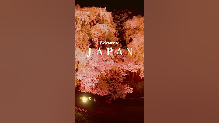 勝間薬師堂枝垂れ桜  2025年4月16日17日　限定のライトアップショー　#桜と遊ぶ #桜 #yozakura #旅する照明 #お花見 #幻想的光 #cherryblossoms #Sakura