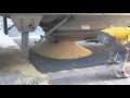 Almacenamiento de maíz en Silos IHMA