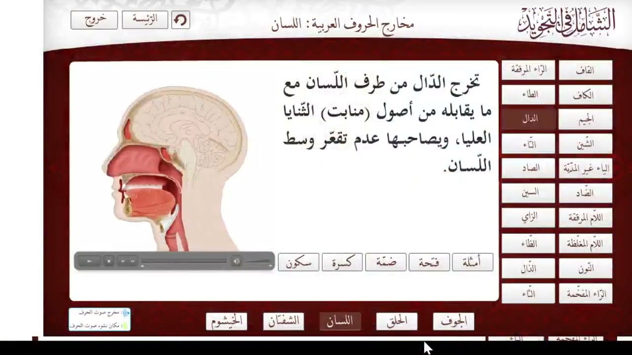 محاضرة 13: مخرج (ط د ت)، (ص س ز)، (ط ذ ث)