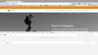 Celebrity Tagtician: How to Search Adobe DTM Profile