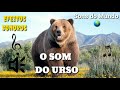 O som do urso  the bear sound