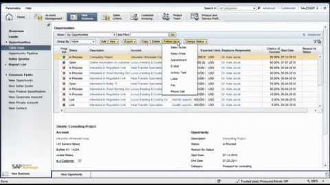 Better Sales Management with SAP Business ByDesign