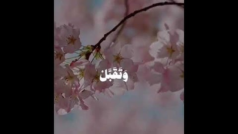 #تلاوات #اكسبلور #قرآن #القرآن_الكريم