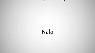 How to say Nala in English?