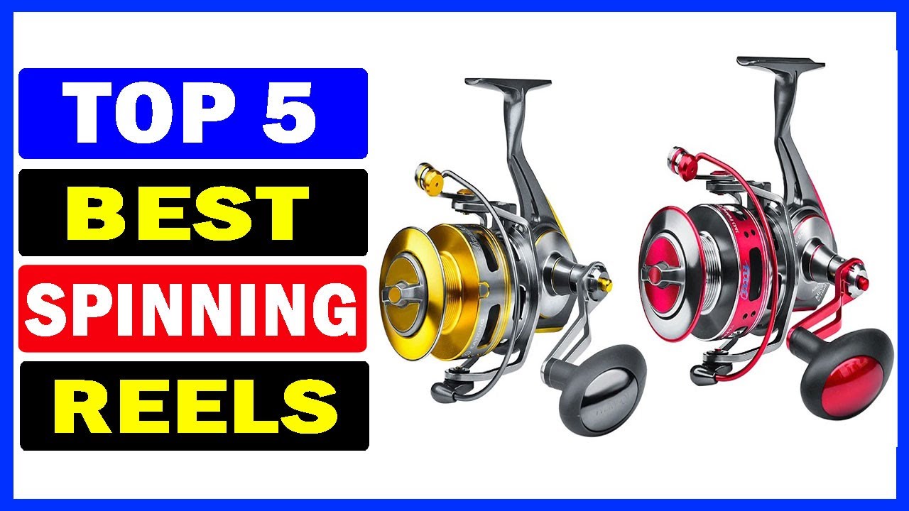 Top 5 Best Spinning Reels Of 2024 - YouTube