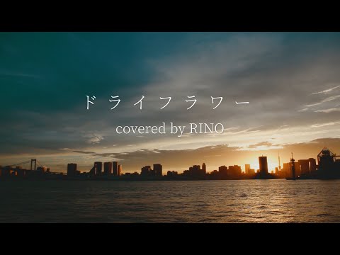ドライフラワー(Dry Flower) - Yuuri 歌ってみた  |  RINO cover
